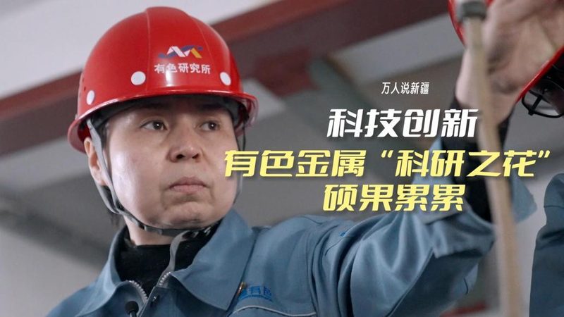 数据分析师成长之路：从入门到精通的四大阶段